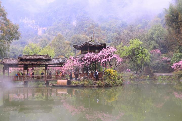 探索世界的清洗羊肚方法蜗牛问答平台