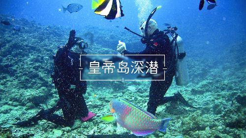 沪江开心词场