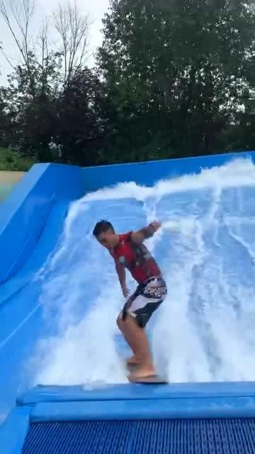 救援有趣的狮子