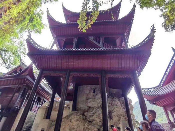 全民烧脑3去广告版