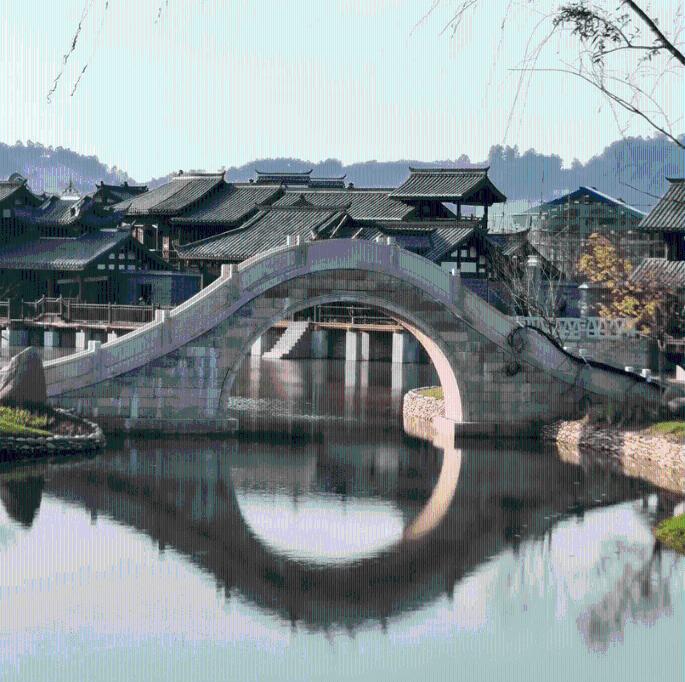 春雨直播app