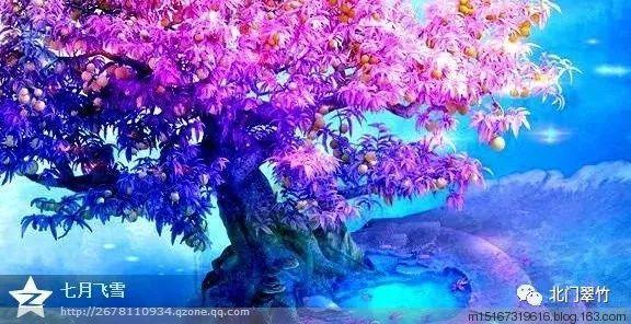 董事长被留置？国晟科技回应：董事长正常在履职，园林板块的工资是正常发放的，光伏板块员工工资情况不掌握